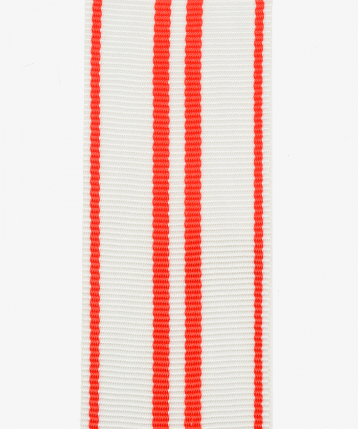 Austria, 1914 War Commemorative Medal (141)